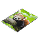 Carnet Panda rouge (Côté gauche)