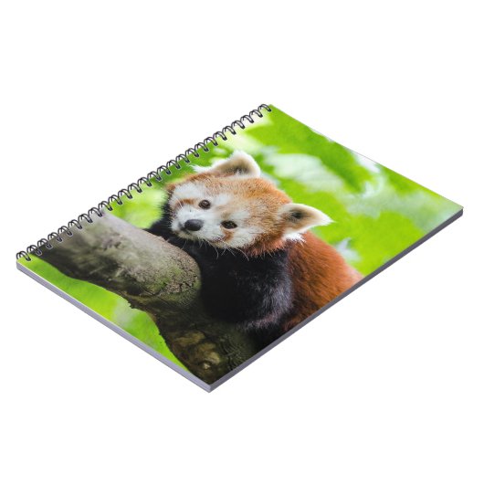 Carnet Panda rouge (Côté gauche)