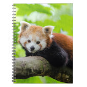 Carnet Panda rouge (Devant)
