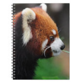 Carnet Panda rouge (Devant)