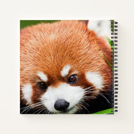 Carnet Panda rouge mignonne (Dos)