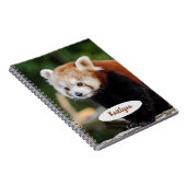 Carnet Panda rouge personnalisé (Côté Droit)
