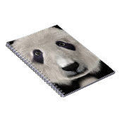Carnet Panda roux (Côté Droit)
