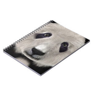 Carnet Panda roux