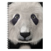 Carnet Panda roux (Devant)
