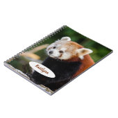 Carnet Panda roux personnalisé (Côté gauche)