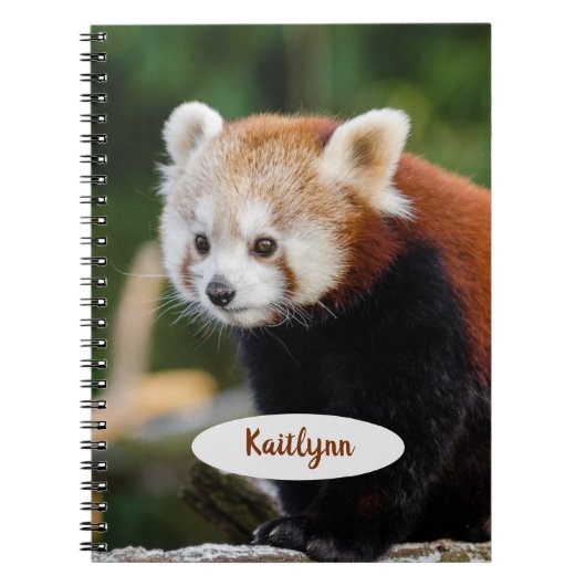 Carnet Panda roux personnalisé (Devant)