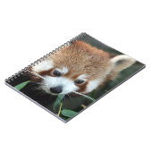 Carnet Panda roux, Taronga Zoo, Sydney, Australie (Côté gauche)
