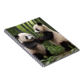 Carnet Pandas Bébés En Jeu Dans Une Forêt De Bambou, (Côté Droit)