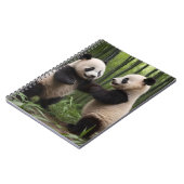 Carnet Pandas Bébés En Jeu Dans Une Forêt De Bambou, (Côté gauche)