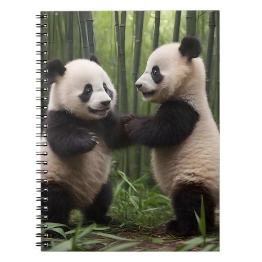Carnet Pandas Bébés En Jeu Dans Une Forêt De Bambou, (Devant)