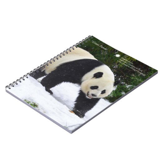 Carnet Pandas géants de Smithsonien | dans la neige (Côté gauche)