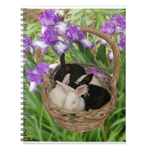 Carnet Panier adorable de bébés lapins