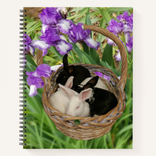 Carnet Panier adorable de bébés lapins