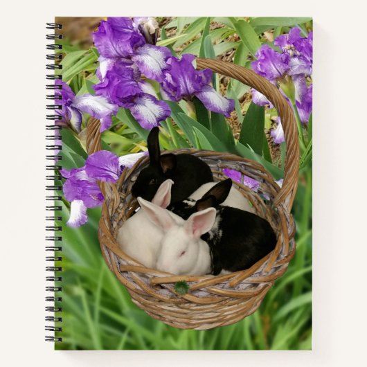 Carnet Panier adorable de bébés lapins (Devant)