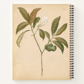 Carnet Panneau Décor Cobalt I (Dos)