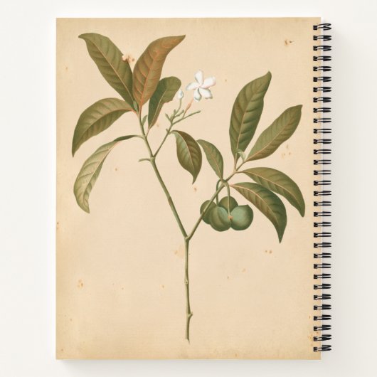 Carnet Panneau Décor Cobalt I (Dos)