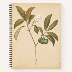 Carnet Panneau Décor Cobalt I