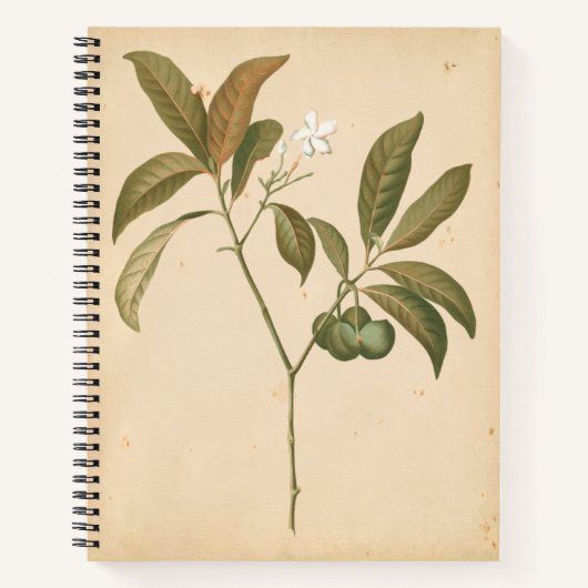 Carnet Panneau Décor Cobalt I (Devant)