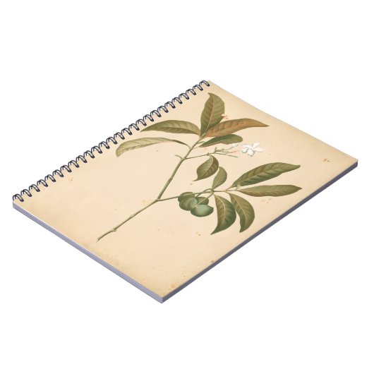 Carnet Panneau Décor Cobalt I (Côté gauche)