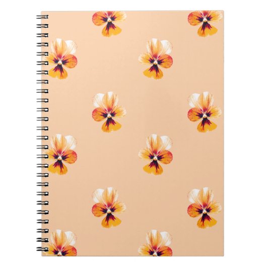 Carnet panneaux orange (Devant)