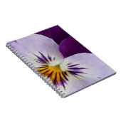 Carnet Pansement blanc pourpre (Côté Droit)