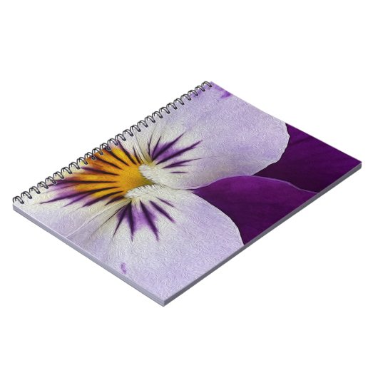Carnet Pansement blanc pourpre (Côté gauche)