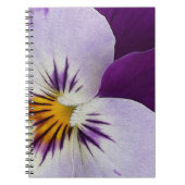 Carnet Pansement blanc pourpre (Devant)