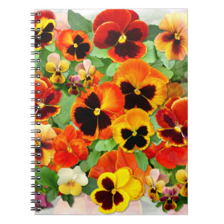 Carnet Pansies du coucher du soleil