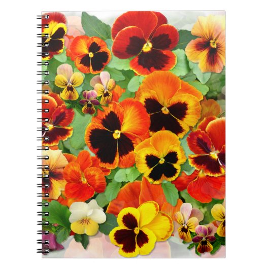 Carnet Pansies du coucher du soleil (Devant)