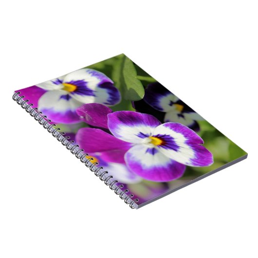Carnet Pansy (Côté Droit)