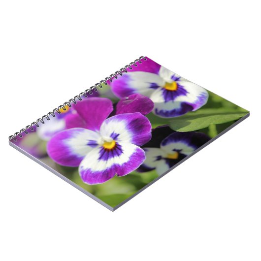 Carnet Pansy (Côté gauche)