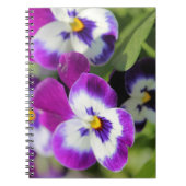 Carnet Pansy (Devant)