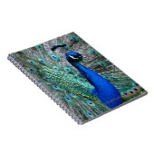 Carnet Paon (Côté Droit)