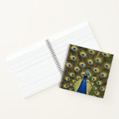 Carnet Paon Bleu (Intérieur)