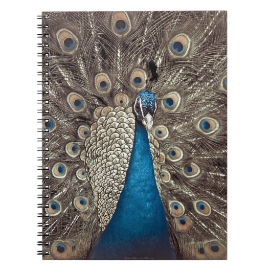 Carnet Paon Bleu Antique (Devant)