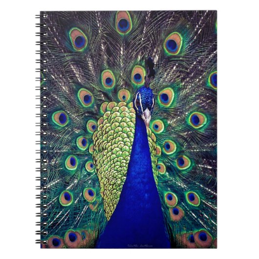 Carnet Paon bleu cobalt (Devant)