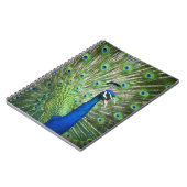 Carnet Paon criard (Côté gauche)