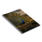 Carnet Paon indien lisière de forêt ANIMALS (Côté Droit)