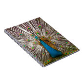 Carnet Paon paisible (Côté Droit)