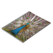 Carnet Paon paisible (Côté gauche)