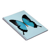 Carnet Paon Royal (Côté Droit)