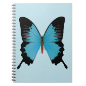 Carnet Paon Royal (Devant)