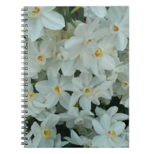 Carnet Paperwhite Narcissus Fleurs blanches délicates