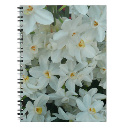 Carnet Paperwhite Narcissus Fleurs blanches délicates (Devant)