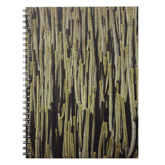 Carnet Papier peint cactus vert (Devant)
