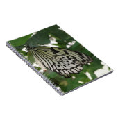 Carnet Papier Tropical Kite Butterfly (Côté Droit)