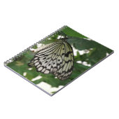 Carnet Papier Tropical Kite Butterfly (Côté gauche)