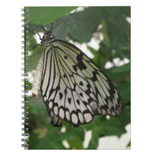Carnet Papier Tropical Kite Butterfly