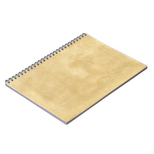 Carnet Papier vieilli Vintage vierge (Côté gauche)